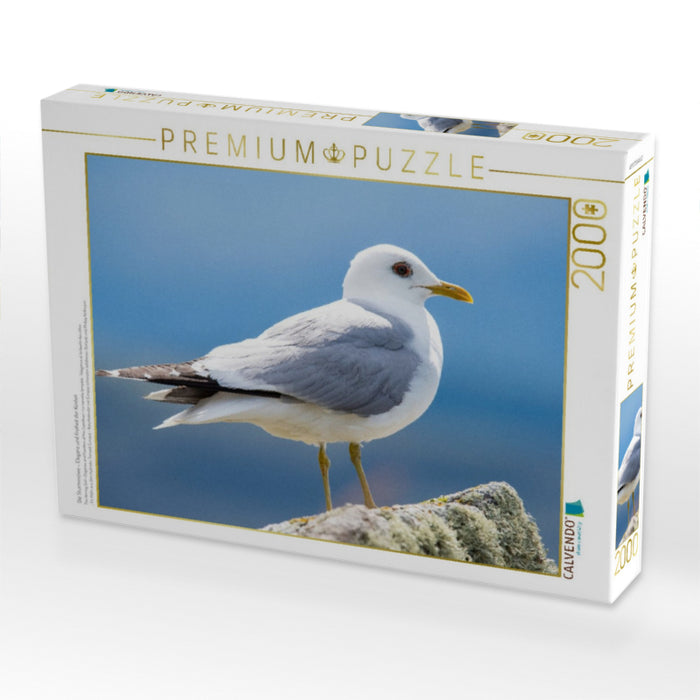 Die Sturmmöwe – Eleganz und Freiheit der Küsten - CALVENDO Foto-Puzzle'