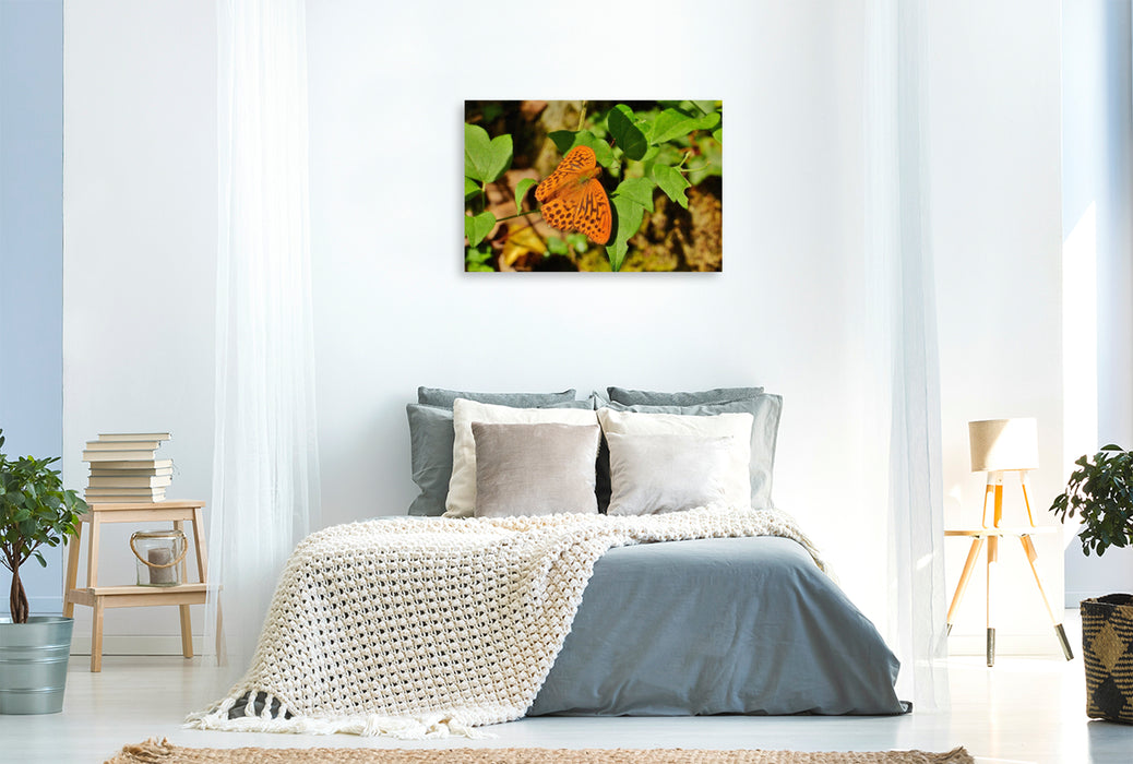 Premium Textil-Leinwand Kaisermantel - einer unserer schönsten Edelfalter