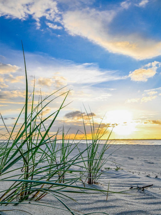Strandhafer im Abendlicht - CALVENDO Foto-Puzzle'