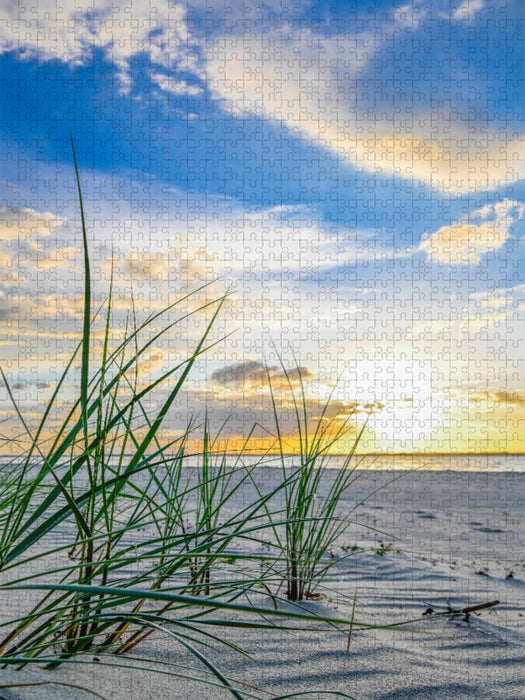 Strandhafer im Abendlicht - CALVENDO Foto-Puzzle'
