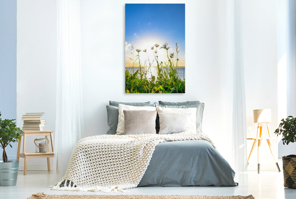 Premium Textil-Leinwand Margeriten am Meer