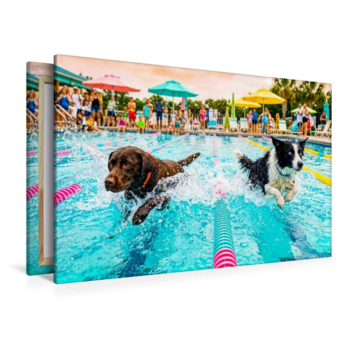 Premium Textil-Leinwand Hundeschwimmrennen - Action auf der Schwimmbahn