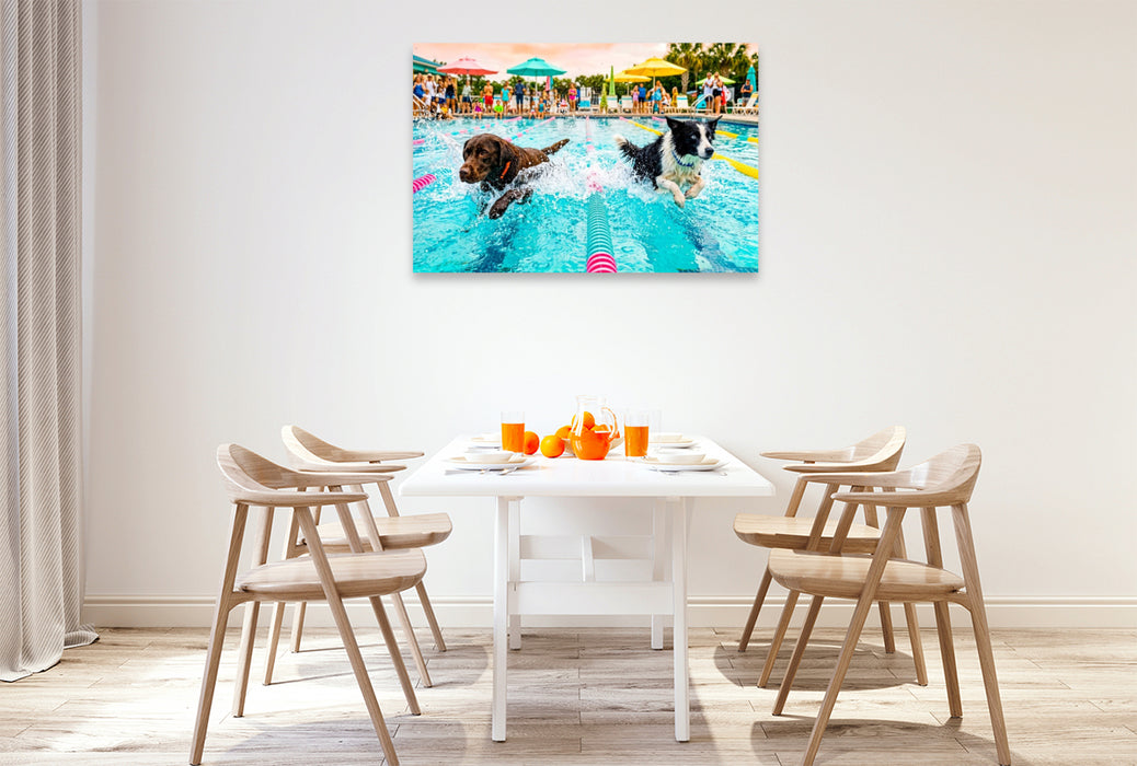 Premium Textil-Leinwand Hundeschwimmrennen - Action auf der Schwimmbahn