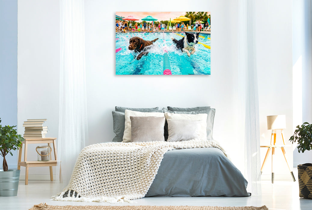 Premium Textil-Leinwand Hundeschwimmrennen - Action auf der Schwimmbahn