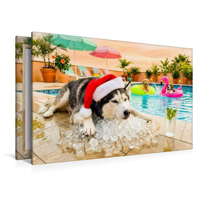 Premium Textil-Leinwand Husky on the Rocks - Weihnachtsmotiv