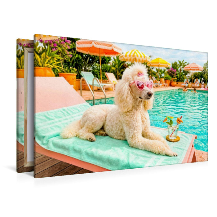 Premium Textil-Leinwand Pudeldame am Pool - Sommer Glamour