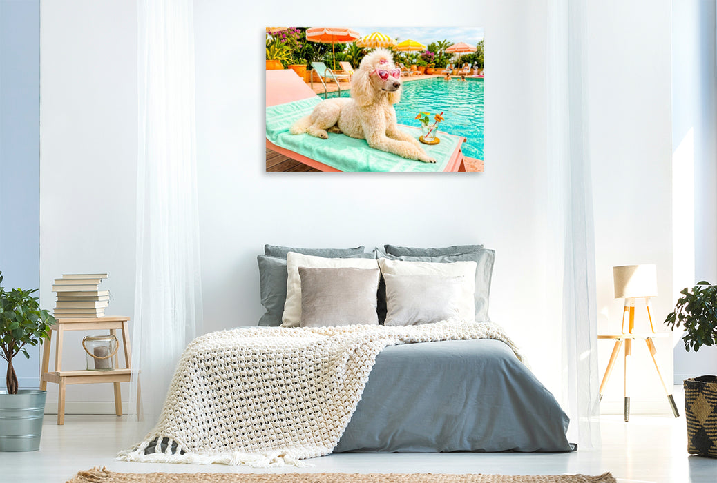 Premium Textil-Leinwand Pudeldame am Pool - Sommer Glamour