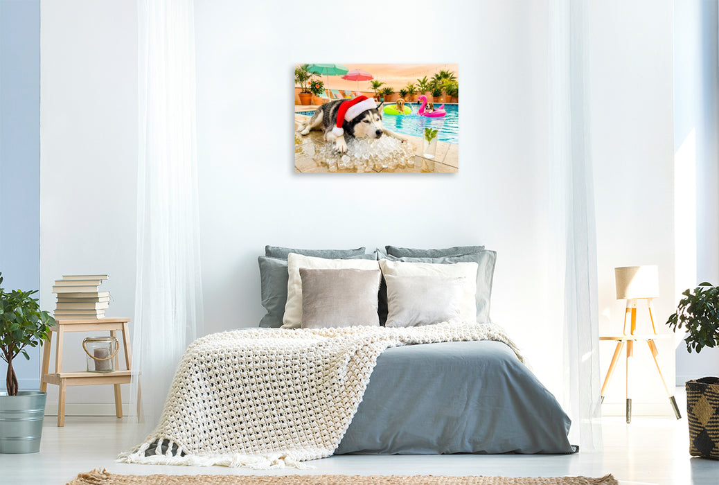 Premium Textil-Leinwand Husky on the Rocks - Weihnachtsmotiv