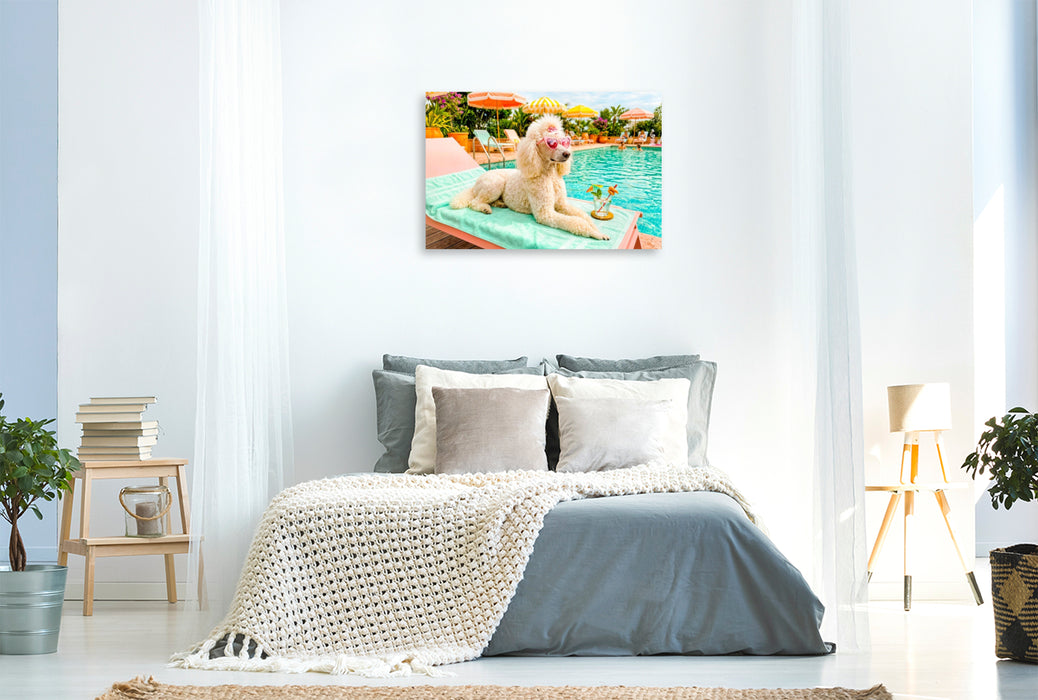 Premium Textil-Leinwand Pudeldame am Pool - Sommer Glamour