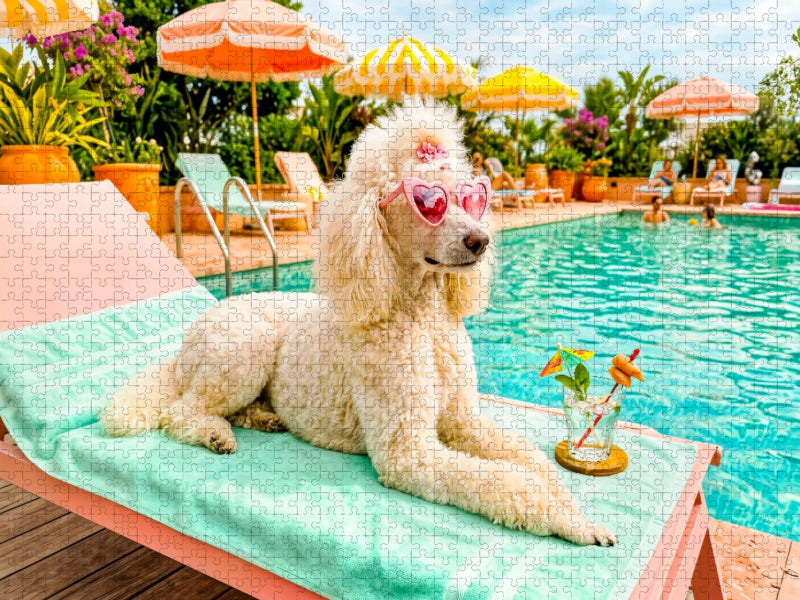 Pudeldame am Pool - Sommer Glamour - CALVENDO Foto-Puzzle'