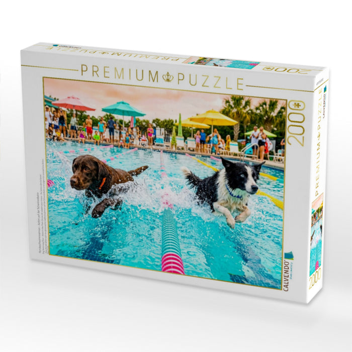 Hundeschwimmrennen - Action auf der Schwimmbahn - CALVENDO Foto-Puzzle'