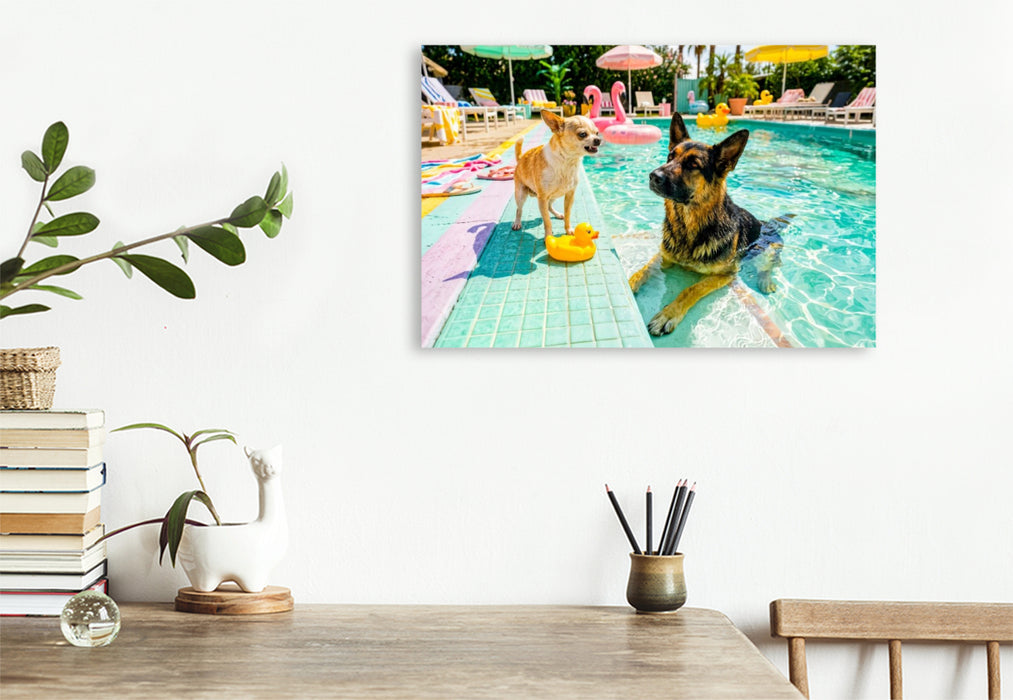 Premium Textil-Leinwand Großer Poolzoff – Chihuahua vs. Schäferhund