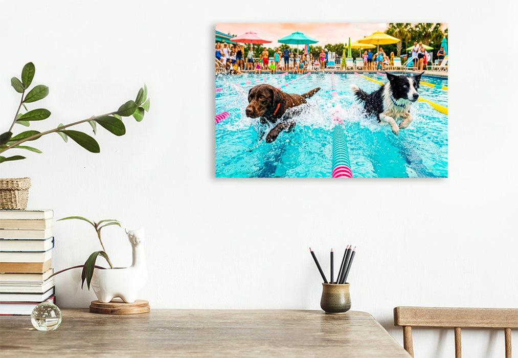 Premium Textil-Leinwand Hundeschwimmrennen - Action auf der Schwimmbahn
