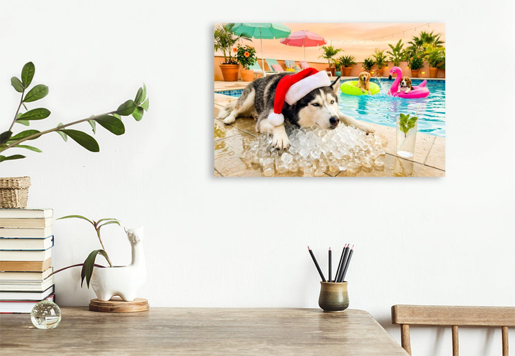 Premium Textil-Leinwand Husky on the Rocks - Weihnachtsmotiv