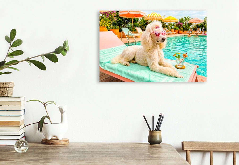 Premium Textil-Leinwand Pudeldame am Pool - Sommer Glamour