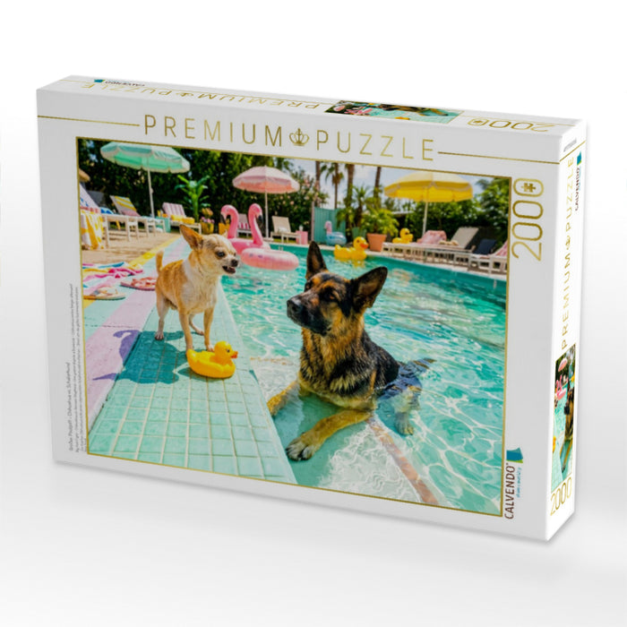 Großer Poolzoff – Chihuahua vs. Schäferhund - CALVENDO Foto-Puzzle'