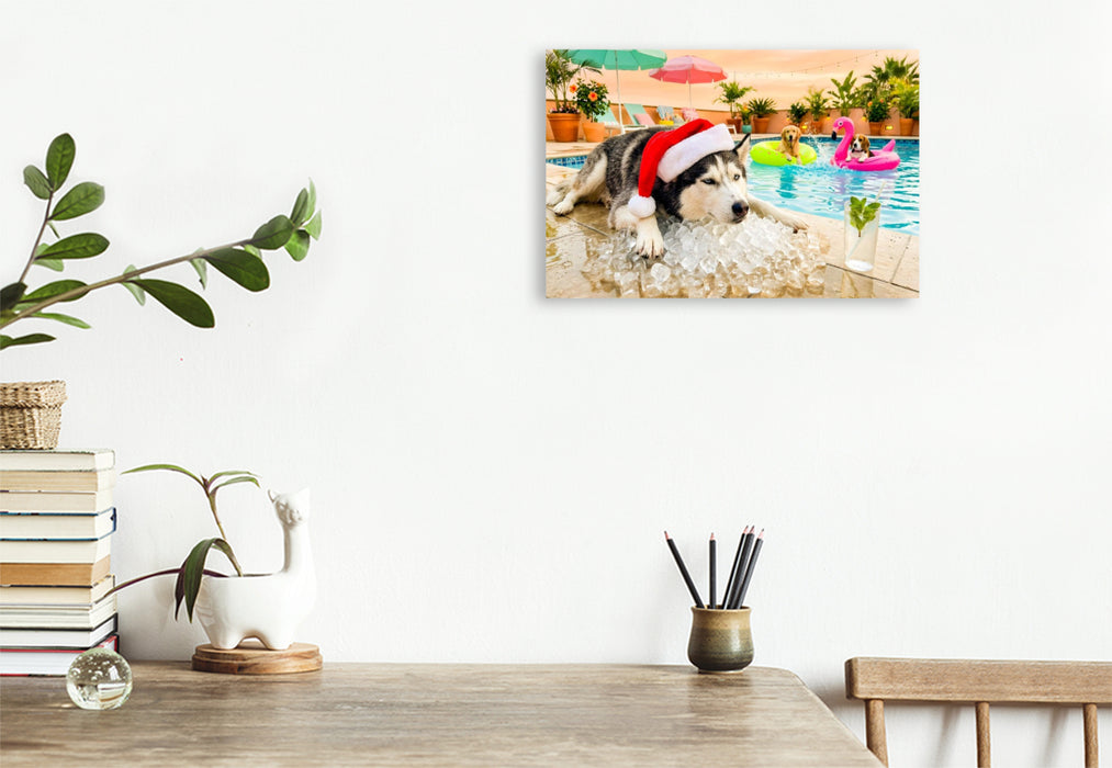 Premium Textil-Leinwand Husky on the Rocks - Weihnachtsmotiv