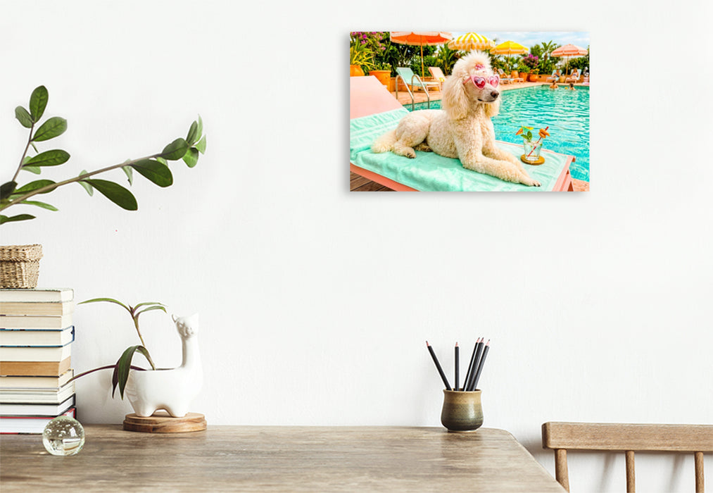 Premium Textil-Leinwand Pudeldame am Pool - Sommer Glamour
