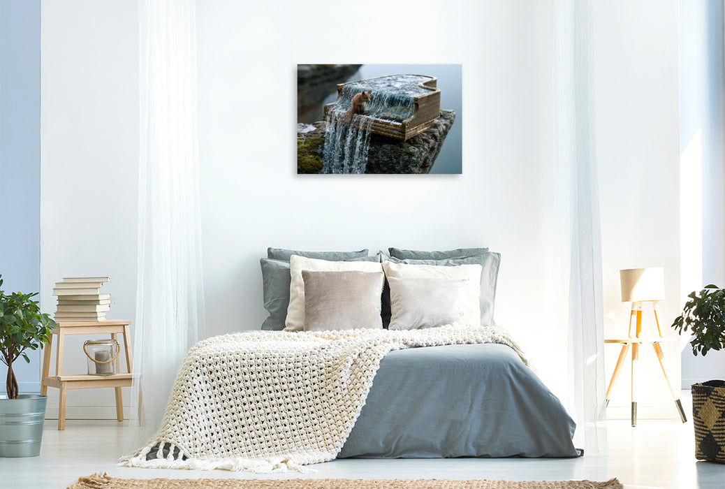 Premium Textil-Leinwand Der Fuchs am Wasserfallklavier