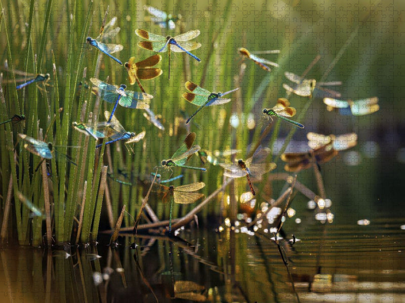 Zwischen Halmen und Himmel, ein Ort, der Zeit vergisst. - CALVENDO Foto-Puzzle'