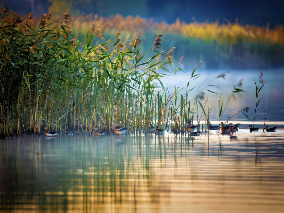 Wenn Wasserträume Wurzeln schlagen. - CALVENDO Foto-Puzzle'