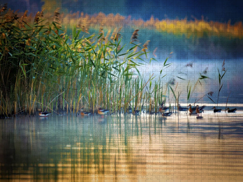 Wenn Wasserträume Wurzeln schlagen. - CALVENDO Foto-Puzzle'