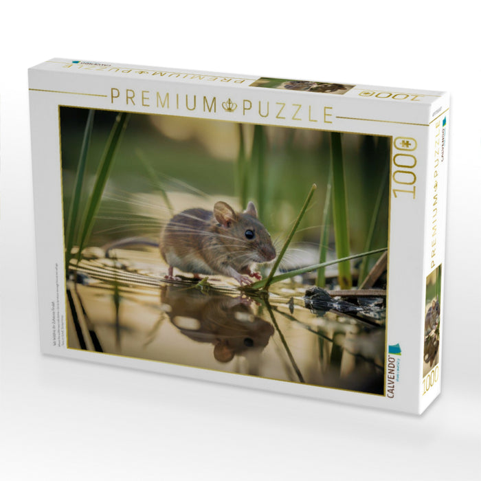 Wo Wildnis ihr Zuhause findet. - CALVENDO Foto-Puzzle'