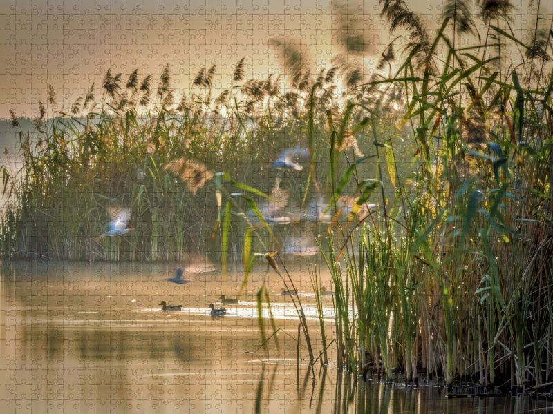 Im Reich der leisen Schritte. - CALVENDO Foto-Puzzle'