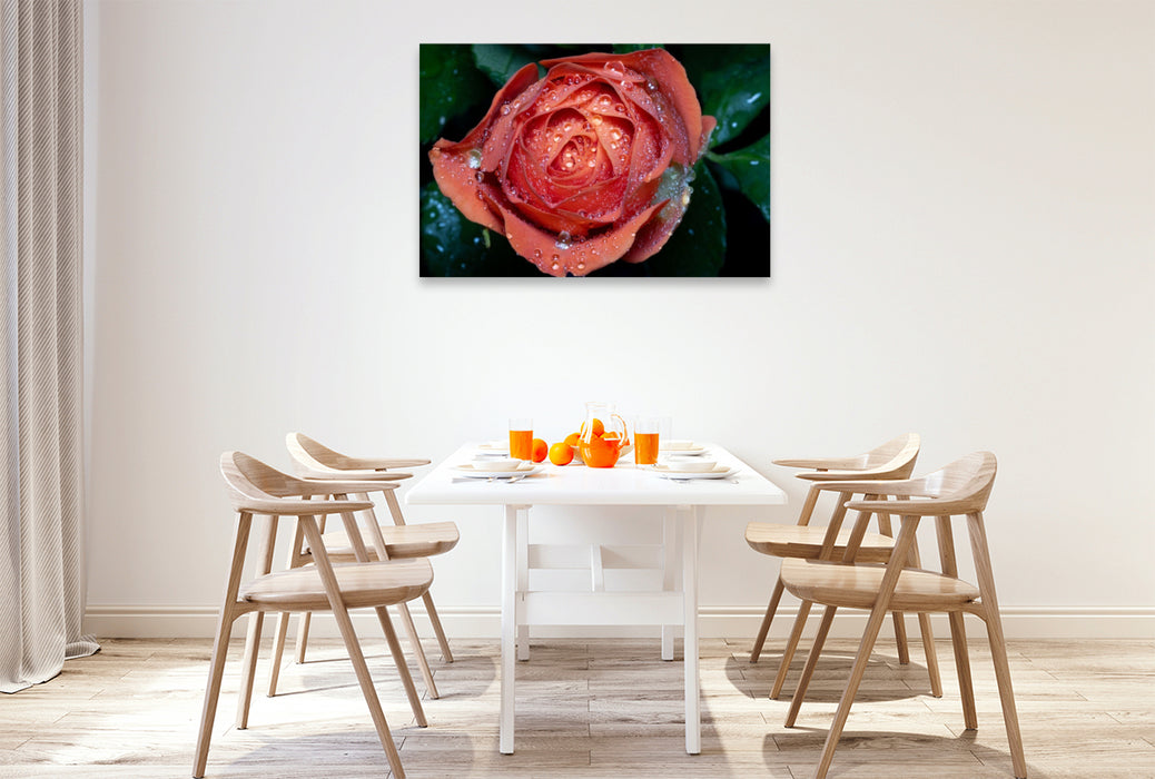 Premium Textil-Leinwand Rose mit Wassertropfen