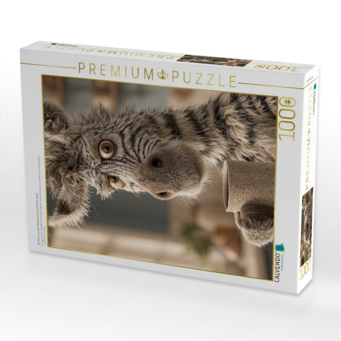 Ein Motiv aus dem Kalender Lust auf Kaffee Spaß - CALVENDO Foto-Puzzle'