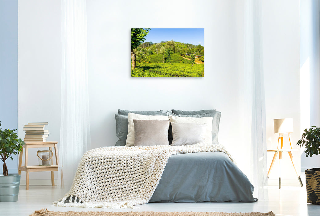 Premium Textil-Leinwand Teeplantage
