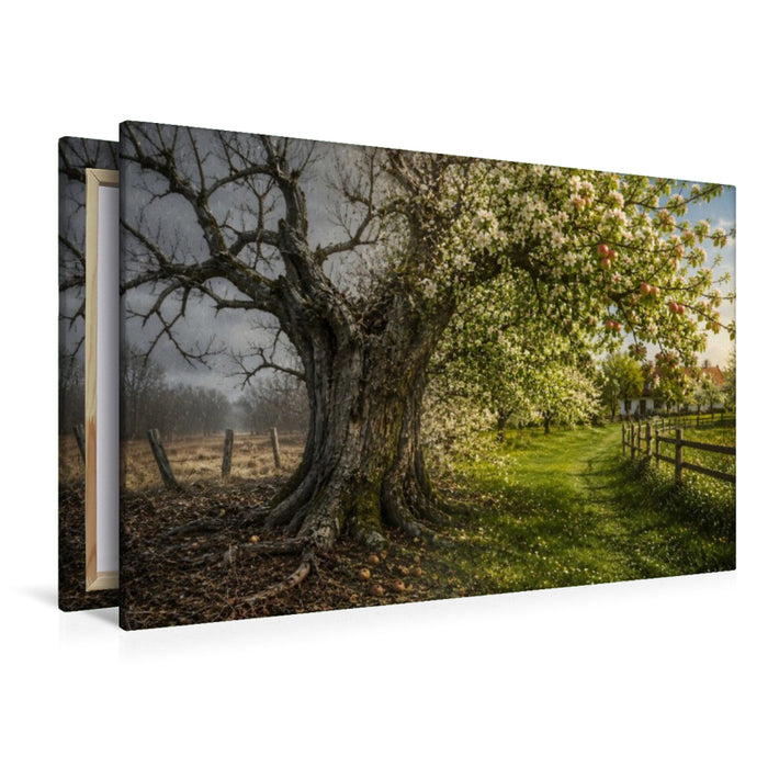 Premium Textil-Leinwand Mai
