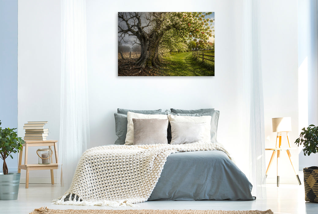 Premium Textil-Leinwand Mai