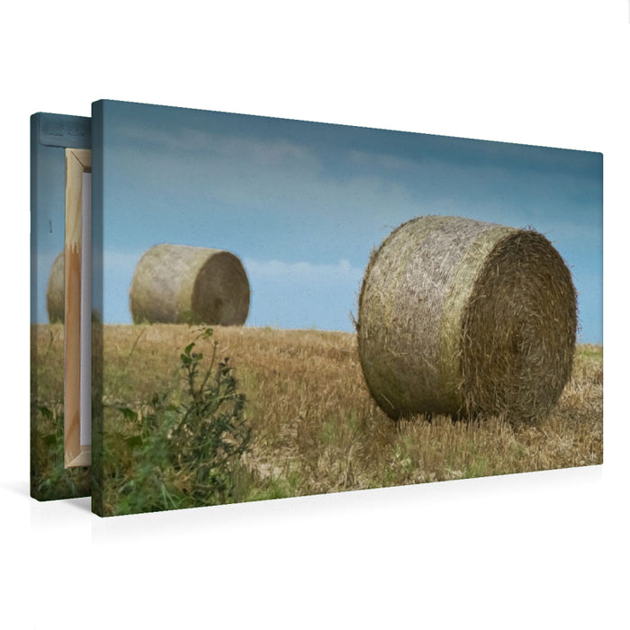 Premium Textil-Leinwand Wiesen und Äcker