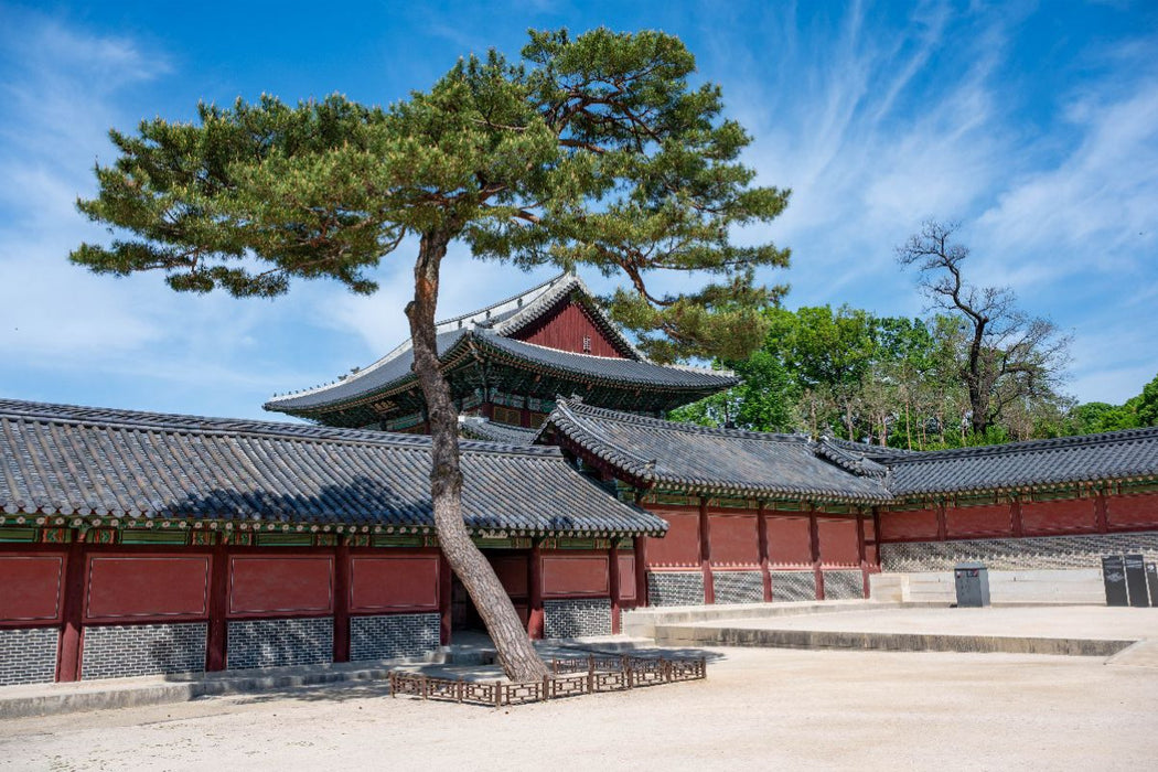Premium Textil-Leinwand Changdeokgung Königliche Eleganz