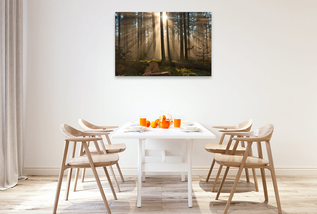 Premium Textil-Leinwand Nebel im Wald