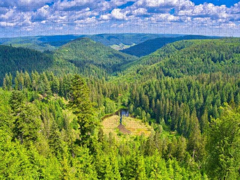 Ellbachseeblick bei Kniebis - CALVENDO Foto-Puzzle'