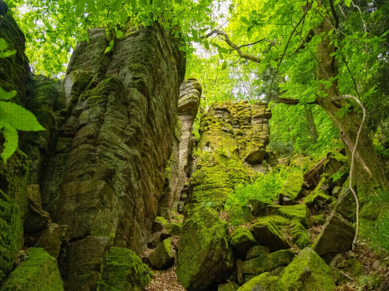 Battertfelsen Baden-Baden - CALVENDO Foto-Puzzle'