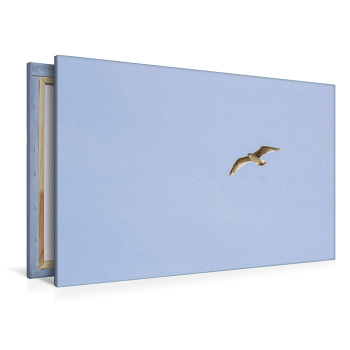 Premium Textil-Leinwand Ein Motiv aus dem Kalender Jeden Monat Tiere