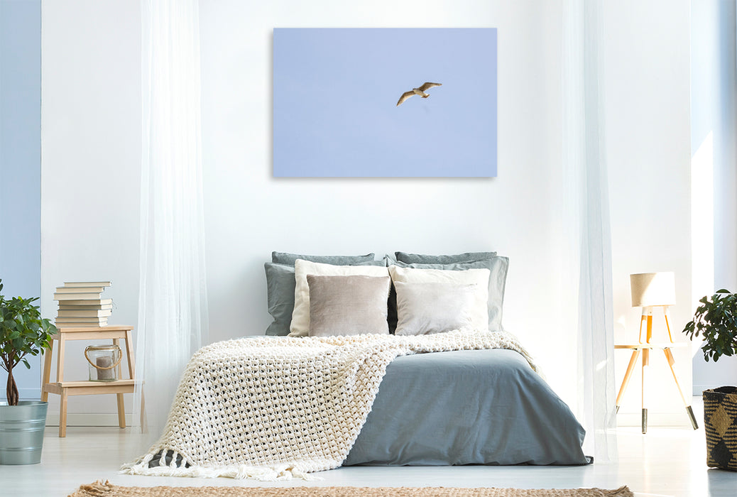 Premium Textil-Leinwand Ein Motiv aus dem Kalender Jeden Monat Tiere