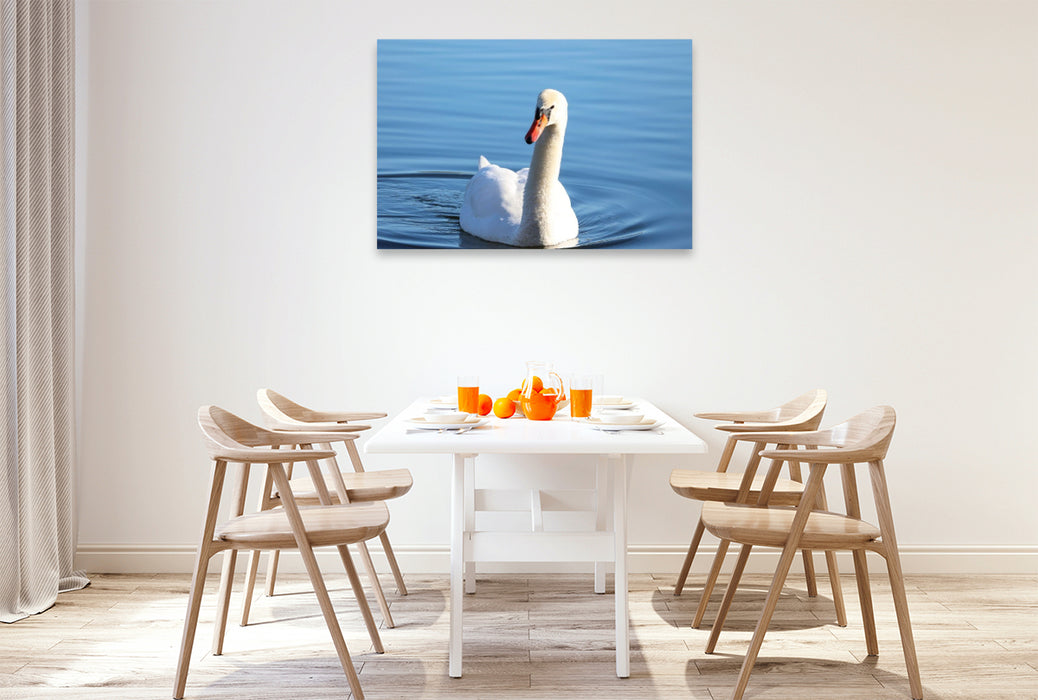 Premium Textil-Leinwand Schwan