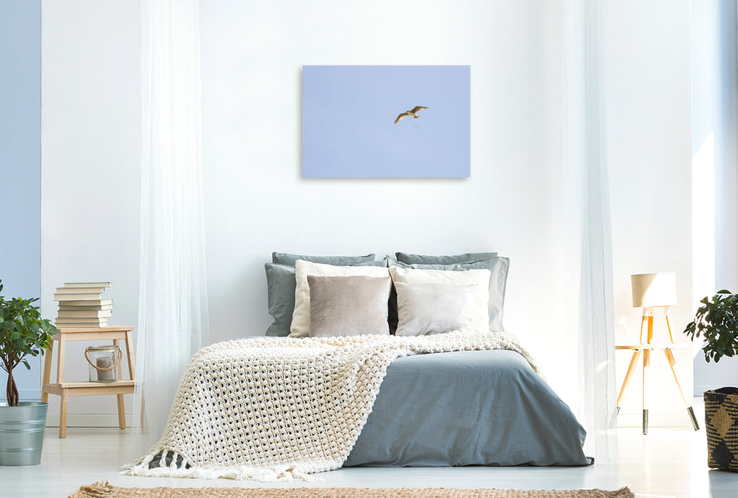 Premium Textil-Leinwand Ein Motiv aus dem Kalender Jeden Monat Tiere