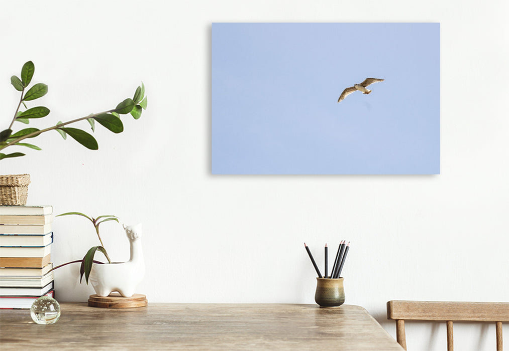 Premium Textil-Leinwand Ein Motiv aus dem Kalender Jeden Monat Tiere