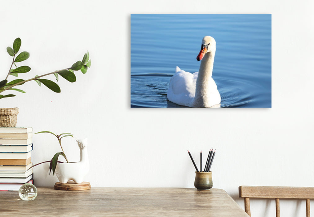 Premium Textil-Leinwand Schwan