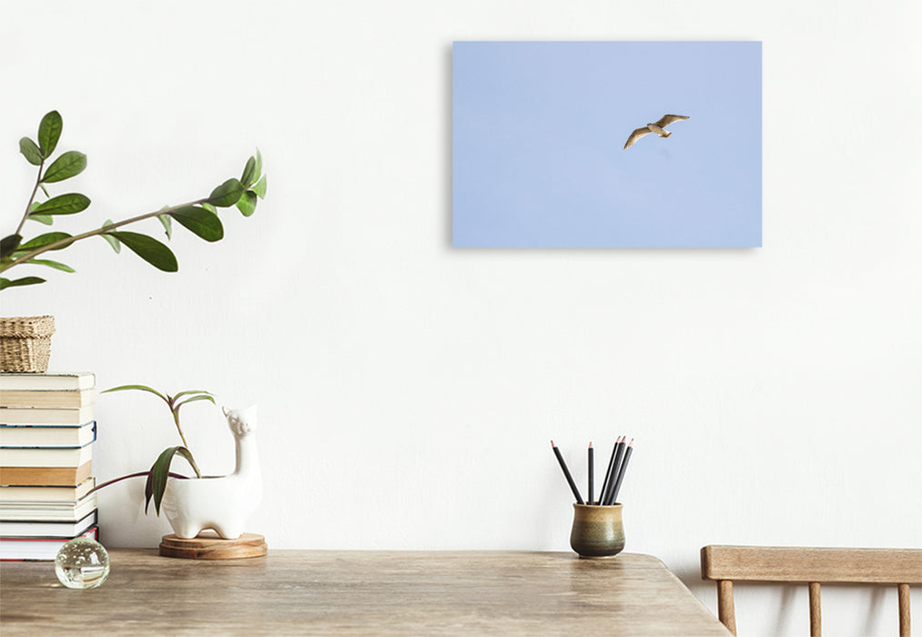 Premium Textil-Leinwand Ein Motiv aus dem Kalender Jeden Monat Tiere