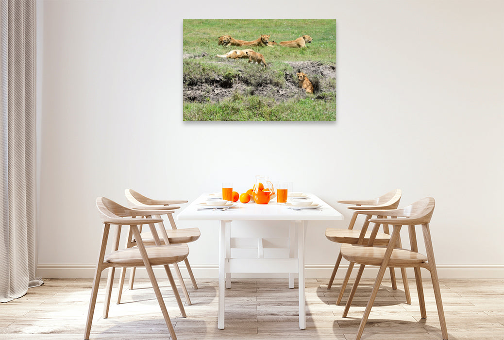 Premium Textil-Leinwand Löwenfamilie