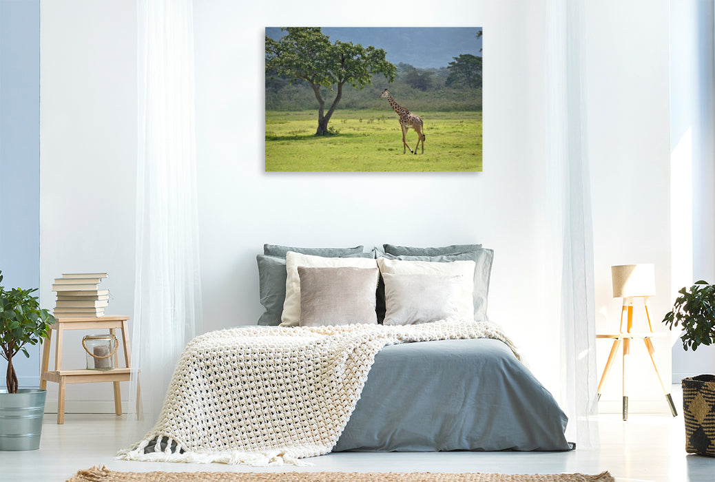 Premium Textil-Leinwand Giraffe