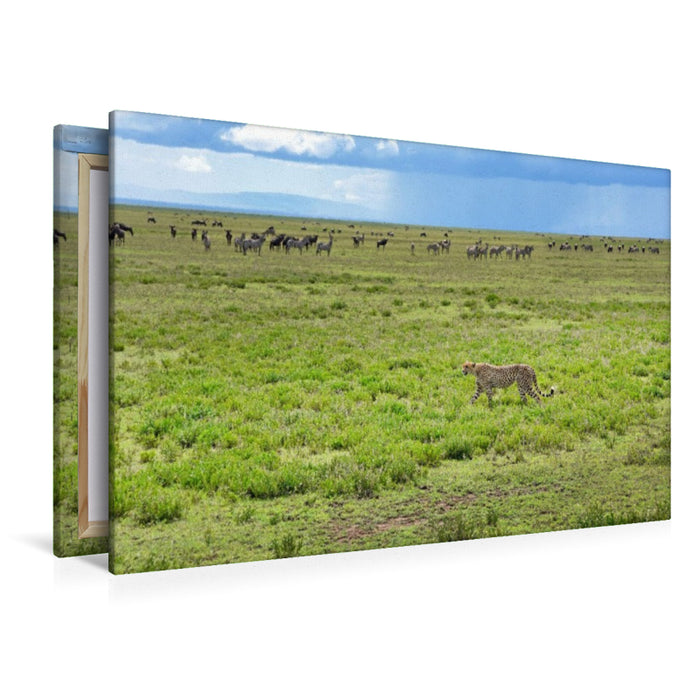 Premium Textil-Leinwand Serengeti-Nationalpark