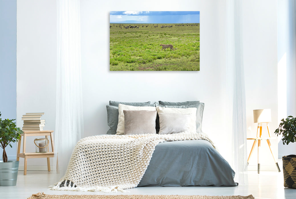 Premium Textil-Leinwand Serengeti-Nationalpark