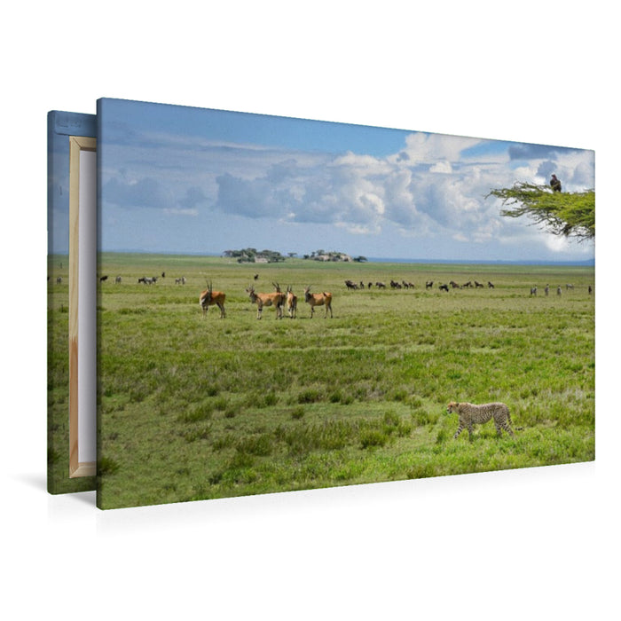 Premium Textil-Leinwand Wildtiere